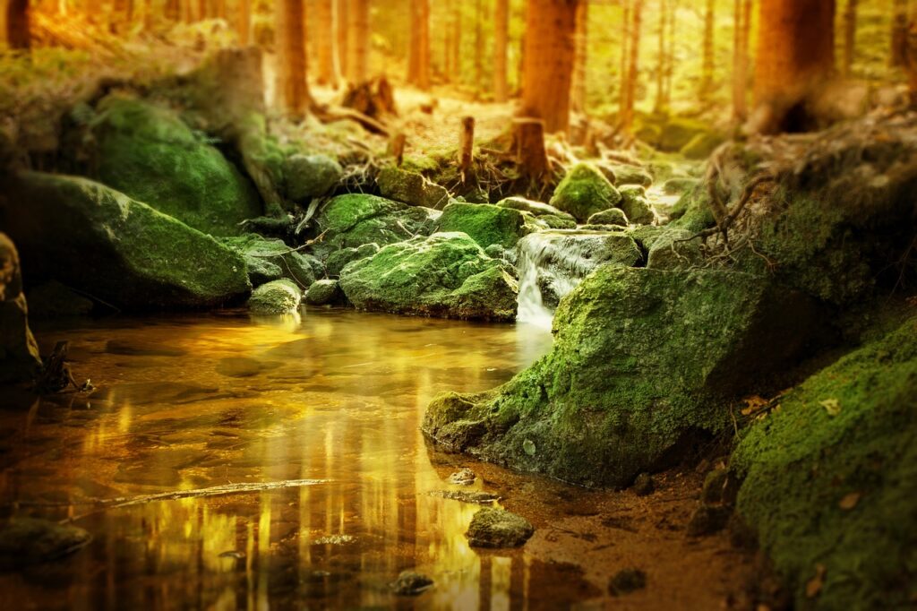 Esplorare i paesaggi naturali circostanti le cascate del Rio Verde