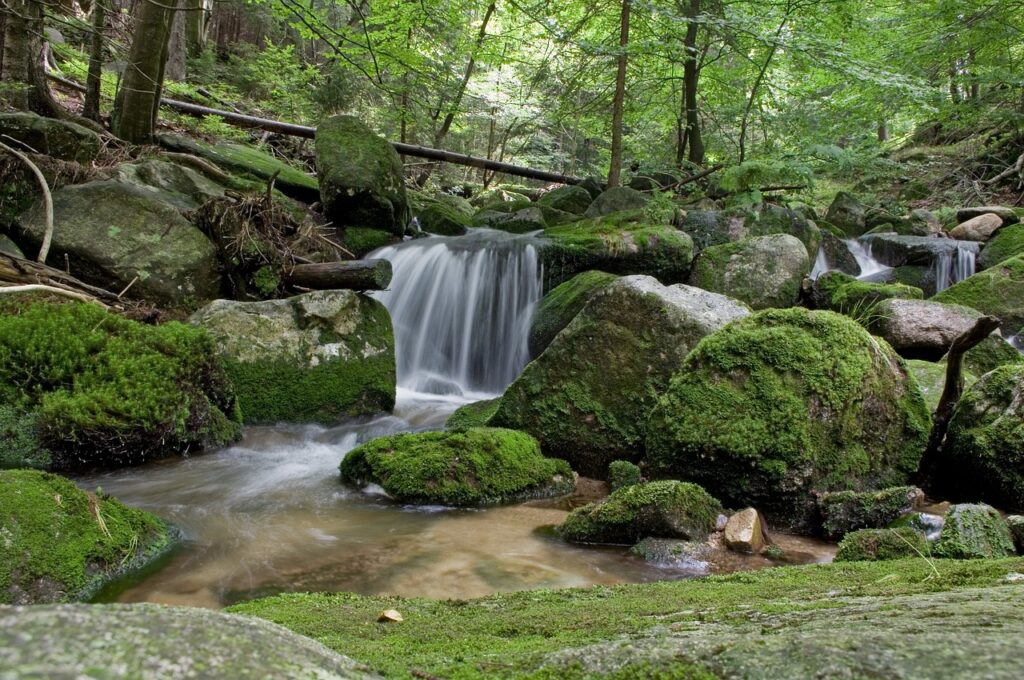 Importanza storica delle cascate del Rio Verde nella regione